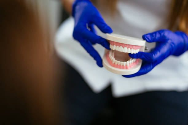 Best Teeth Whitening  in Meadow Woods, FL