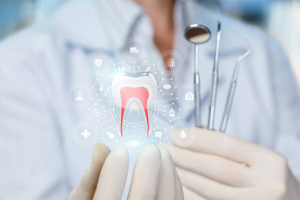 Best Traditional Braces  in Meadow Woods, FL