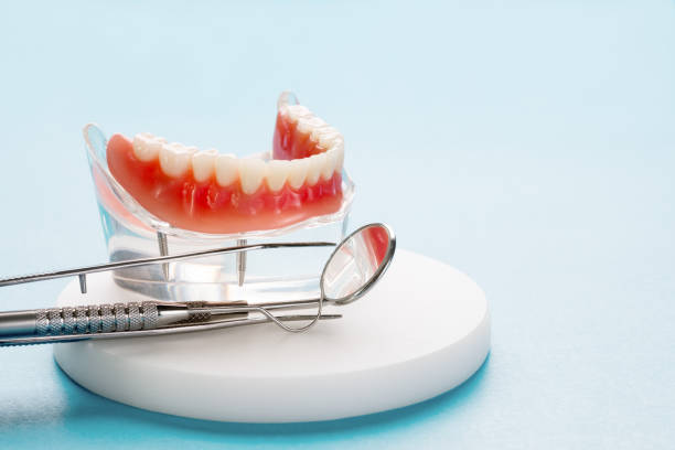 Best Emergency Dental Care  in Meadow Woods, FL
