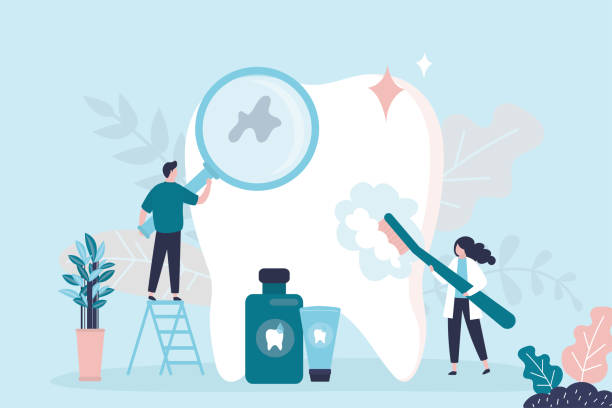 Best Wisdom Tooth Removal  in Meadow Woods, FL