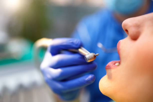 Professional  Holistic Dental Services in Meadow Woods, FL